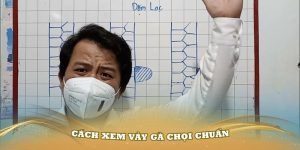 cách xem vảy gà chọi